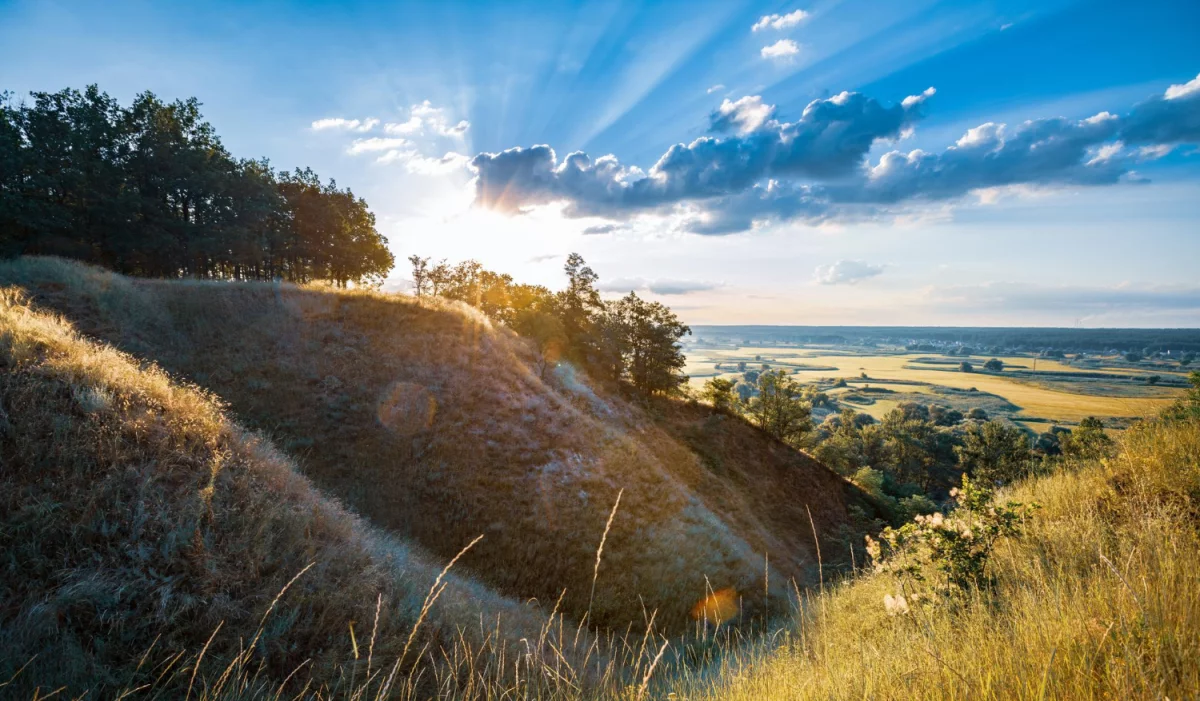 Radzimy jak kupić samochód skuteczniej