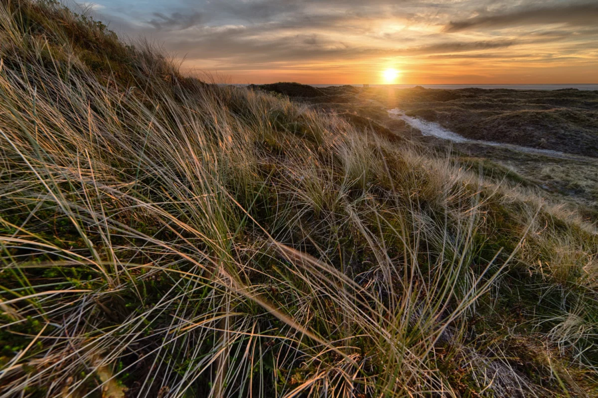 Jak legalnie wynająć działkę w ROD: prawa, obowiązki, umowa wzorcowa i rozwiązanie najczęstszych problemów