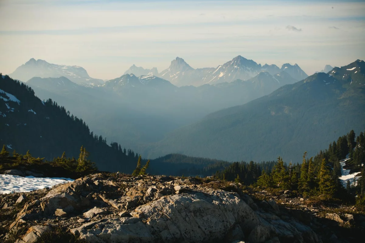 Czy można kupić programy w sobotę?
