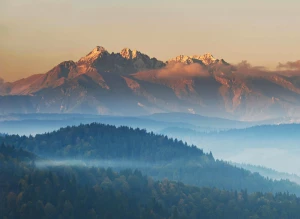 Usługi AMICE: Kompletny przewodnik po wdrożeniu, funkcjach, korzyściach i optymalizacji kosztów dla firm