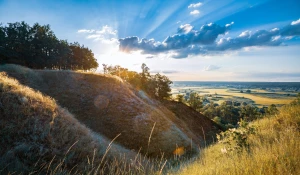 Artykuł o współczesnej stomatologii