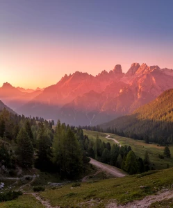 Przycinanie drzew i prace na wysokościach - kiedy warto wynająć podnośnik?