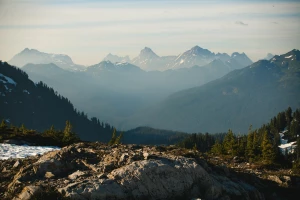 Ale jak kupić elektronikę do domu?